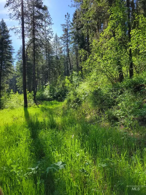tbd Twisted Tree Ln, Peck, ID 83545 photo 10
