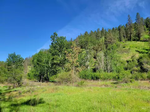 tbd Twisted Tree Ln, Peck, ID 83545 photo 13