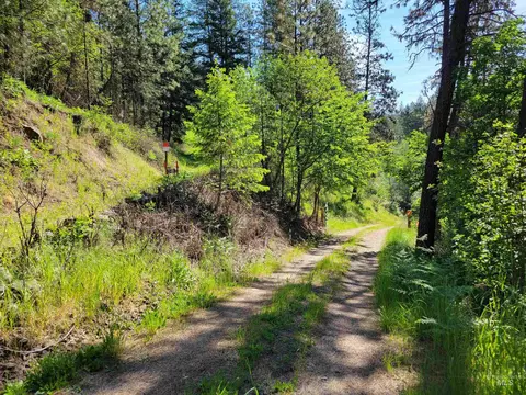 tbd Twisted Tree Ln, Peck, ID 83545 photo 17