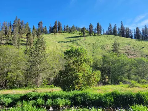 tbd Twisted Tree Ln, Peck, ID 83545 photo 4