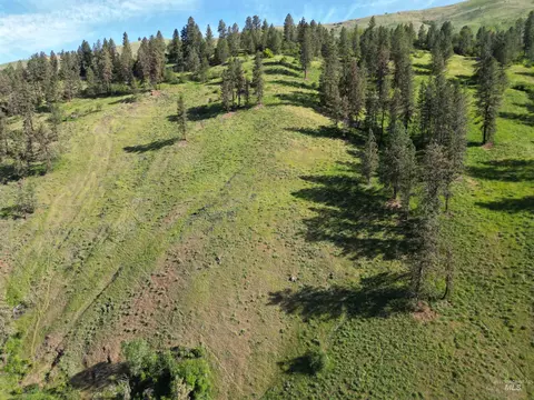 tbd Twisted Tree Ln, Peck, ID 83545 photo 45
