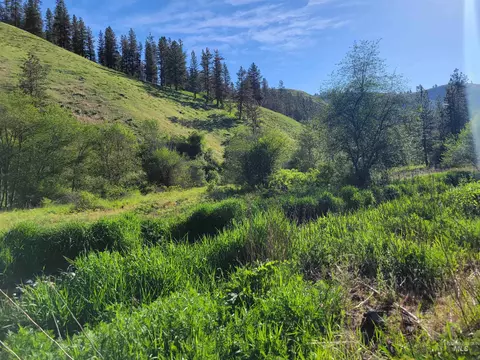 tbd Twisted Tree Ln, Peck, ID 83545 photo 5