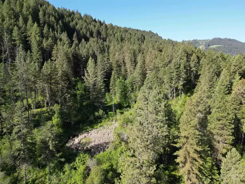 tbd Twisted Tree Ln, Peck, ID 83545 photo 44