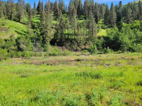 tbd Twisted Tree Ln, Peck, ID 83545 photo 12