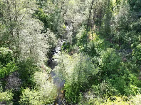 tbd Twisted Tree Ln, Peck, ID 83545 photo 29