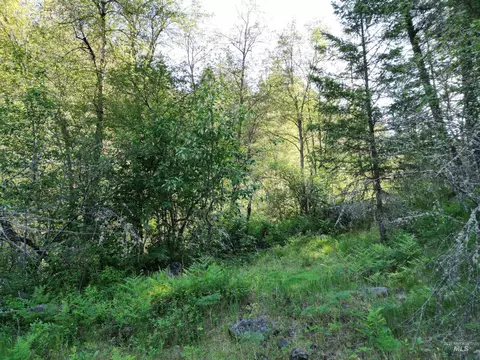 tbd Twisted Tree Ln, Peck, ID 83545 photo 25
