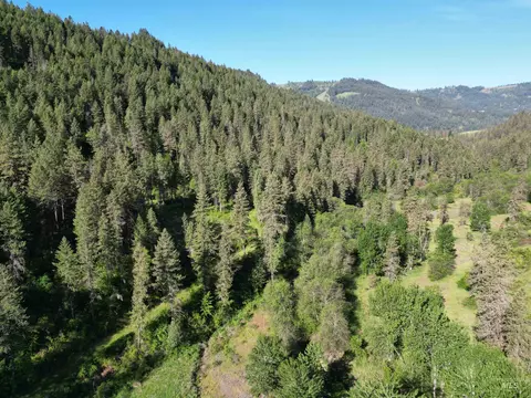 tbd Twisted Tree Ln, Peck, ID 83545 photo 41