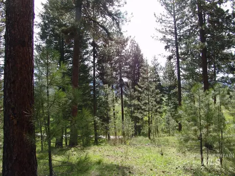 21 Rehn Loop, Cascade, ID 83611 photo 8