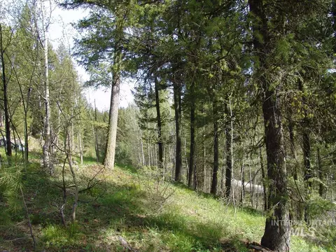 21 Rehn Loop, Cascade, ID 83611 photo 2