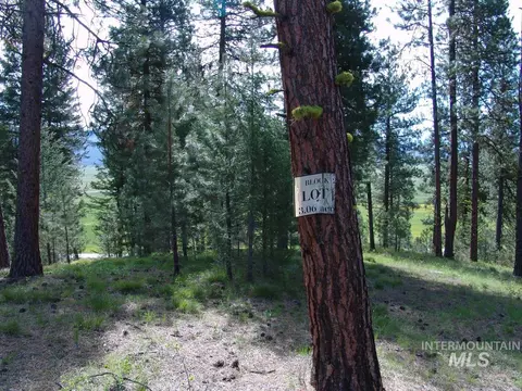 21 Rehn Loop, Cascade, ID 83611 photo 4