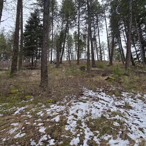 tbd Granite View Rd, New Meadows, ID 83654