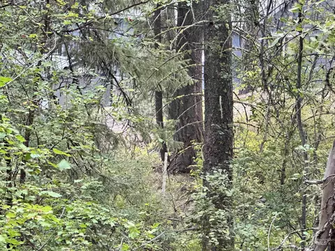 515 Collier Vw, Cascade, ID 83611 photo 7