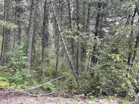 515 Collier Vw, Cascade, ID 83611 photo 6