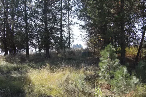 41 Vista Point Loop, Cascade, ID 83611 photo 12
