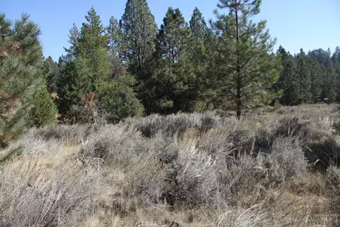 41 Vista Point Loop, Cascade, ID 83611 photo 5
