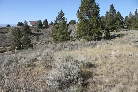 41 Vista Point Loop, Cascade, ID 83611 photo 9