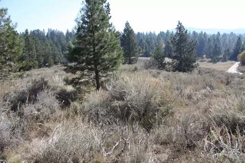 41 Vista Point Loop, Cascade, ID 83611 photo 3
