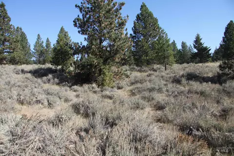 41 Vista Point Loop, Cascade, ID 83611 photo 7