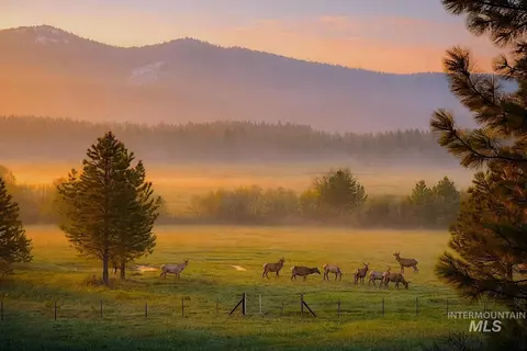 1217 Elo Rd, Mccall, ID 83638