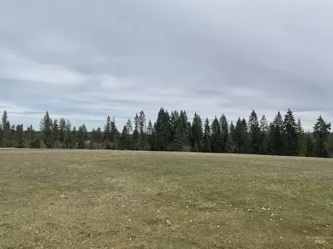 tbd Upper Fords Creek Rd, Orofino, ID 83544