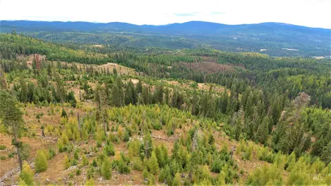tbd Elk City Wagon Rd, Elk City, ID 83525