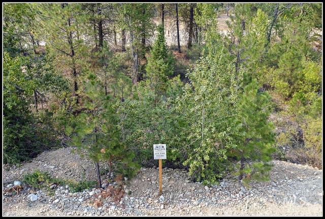 lot58 Mores Creek Dr, Idaho City, ID 83631