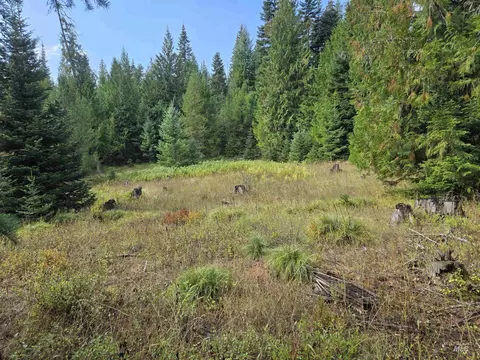 tbd Apt 7 Hjalmar Johnson Rd, Weippe, ID 83553