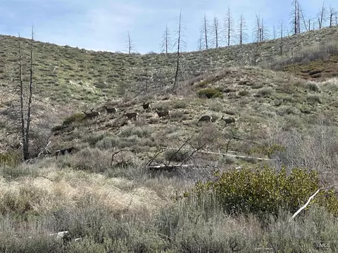 tbd Lester Creek Rd, Pine, ID 83647