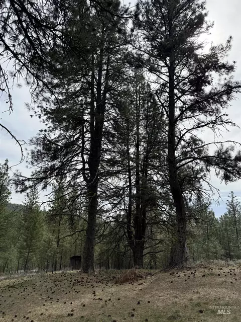 lot16 Sunset Loop, Cascade, ID 83611 photo 6