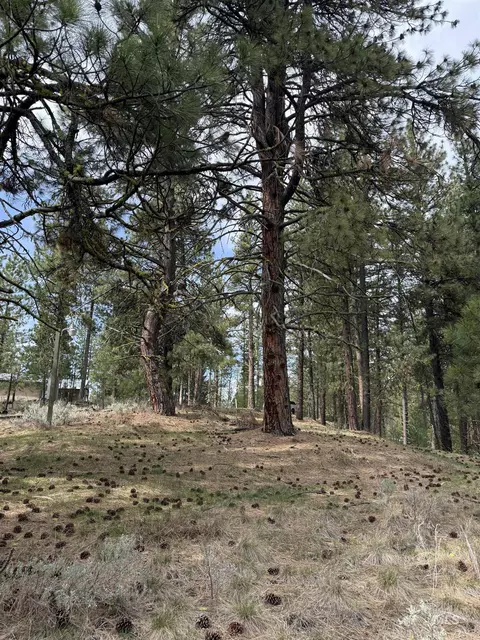 lot16 Sunset Loop, Cascade, ID 83611 photo 16