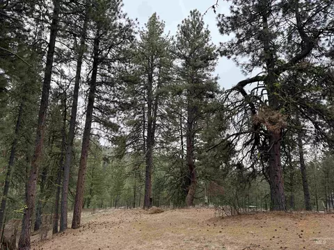 lot16 Sunset Loop, Cascade, ID 83611