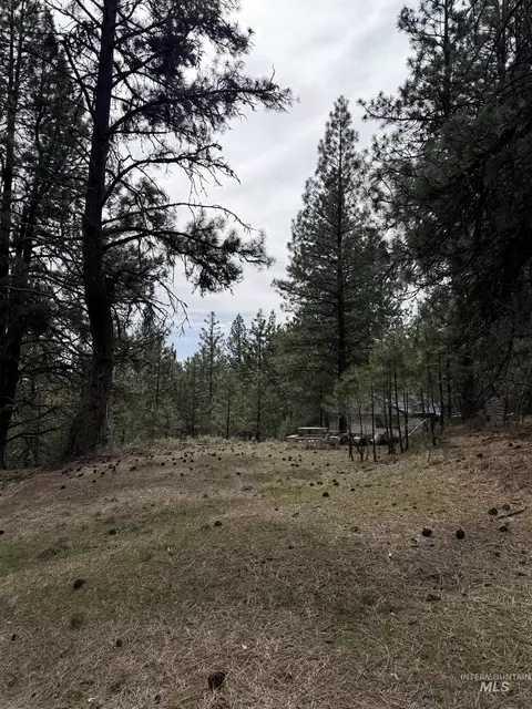 lot16 Sunset Loop, Cascade, ID 83611 photo 3