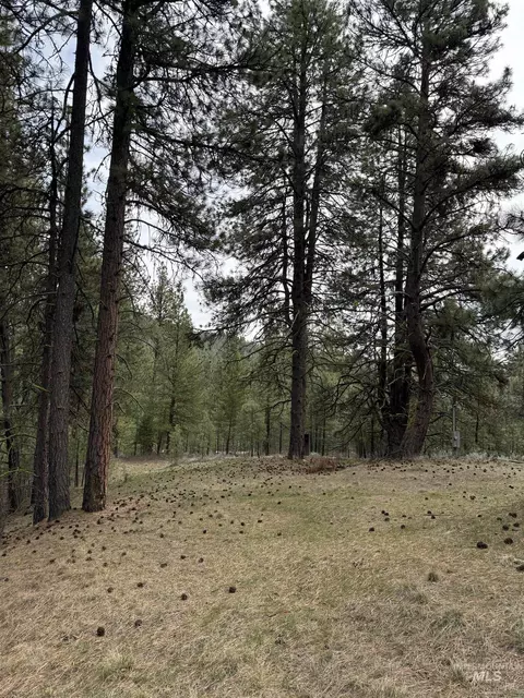 lot16 Sunset Loop, Cascade, ID 83611 photo 8