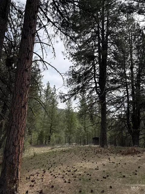 lot16 Sunset Loop, Cascade, ID 83611 photo 5
