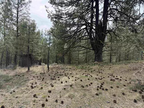 lot16 Sunset Loop, Cascade, ID 83611 photo 4