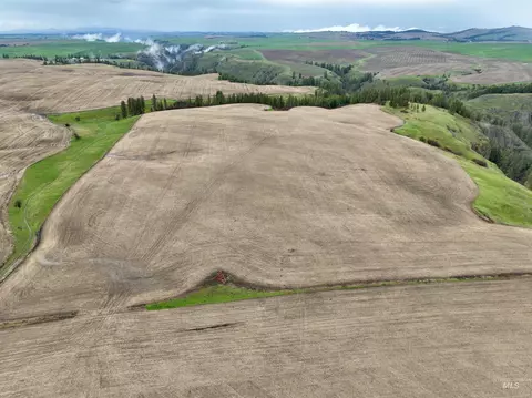 tbd Younger Rd, Craigmont, ID 83523