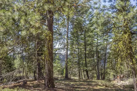 161 Little Donner Dr, Cascade, ID 83611