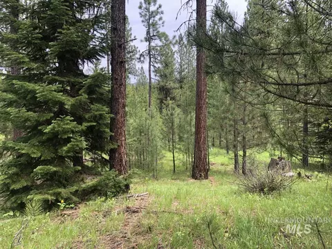 L18 Silver Cloud Drive, Cascade, ID 83611