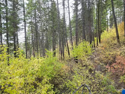 905 Hidden Valley Ln, Weippe, ID 83553 photo 21