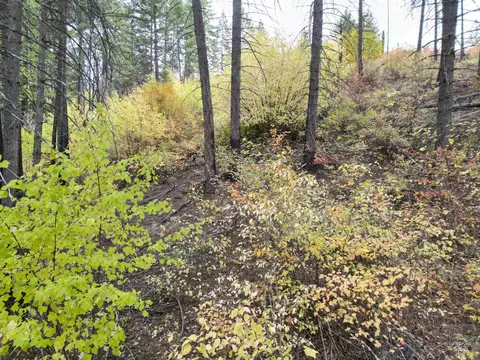 905 Hidden Valley Ln, Weippe, ID 83553 photo 23