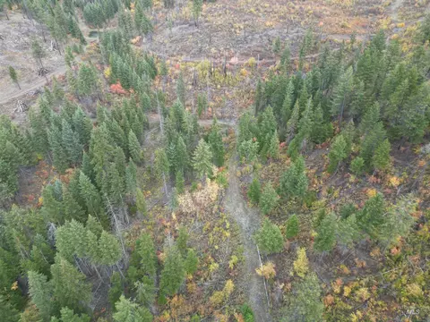 905 Hidden Valley Ln, Weippe, ID 83553 photo 15