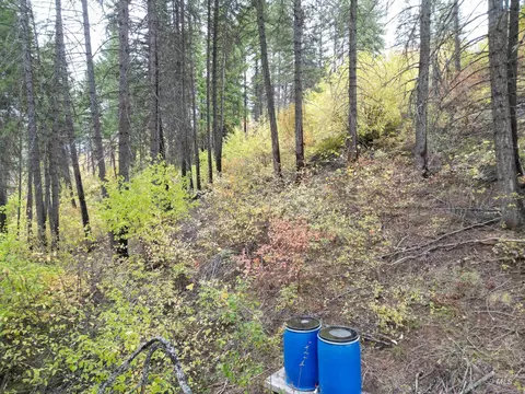 905 Hidden Valley Ln, Weippe, ID 83553 photo 20