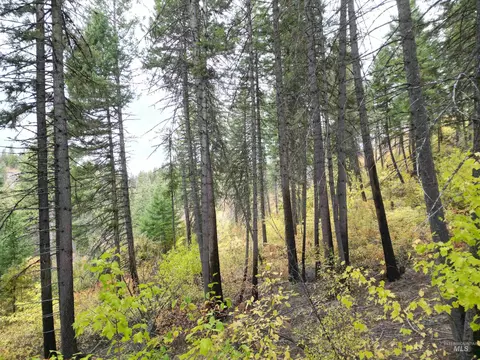 905 Hidden Valley Ln, Weippe, ID 83553 photo 22