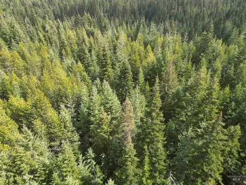 tbd Lot 11 Spring Ln, Weippe, ID 83553 photo 7