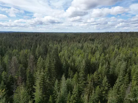 tbd Lot 11 Spring Ln, Weippe, ID 83553 photo 10