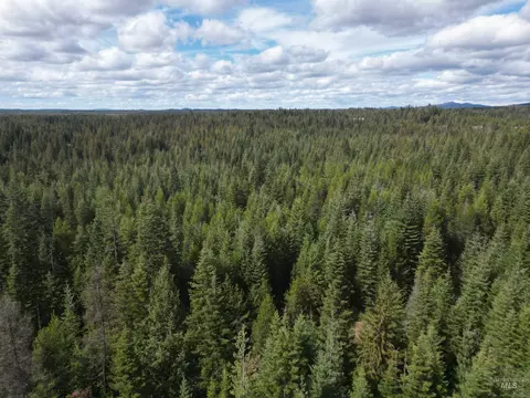 tbd Lot 11 Spring Ln, Weippe, ID 83553 photo 19