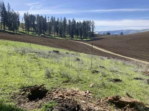 tbd Rangeline Dr, Kamiah, ID 83536 photo 10