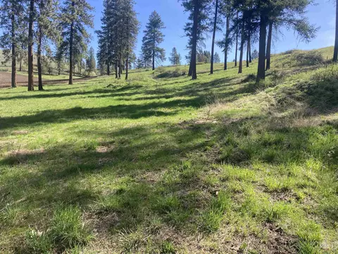 tbd Rangeline Dr, Kamiah, ID 83536 photo 2