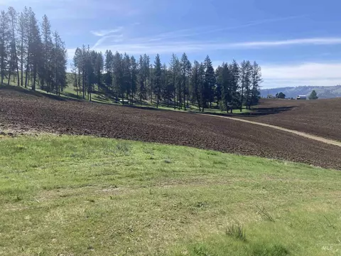 tbd Rangeline Dr, Kamiah, ID 83536 photo 5
