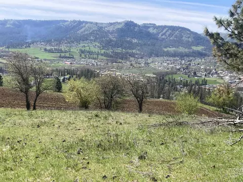 tbd Rangeline Dr, Kamiah, ID 83536 photo 22